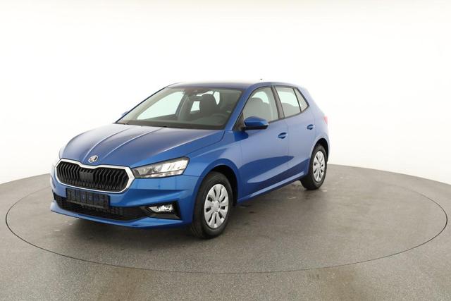 Skoda Fabia Selection 1.0 TSI Selection, Tempomat, Park, Winterpaket, SmartLink, 4 J.-Garantie 