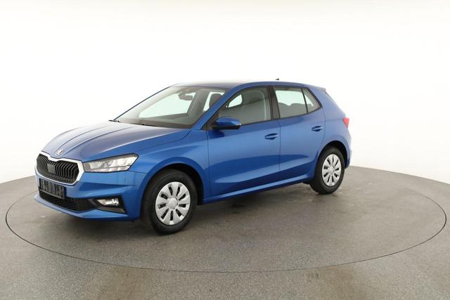 Skoda Fabia Selection 1.0 TSI Selection, Tempomat, Park, Winterpaket, SmartLink, 4 J.-Garantie 