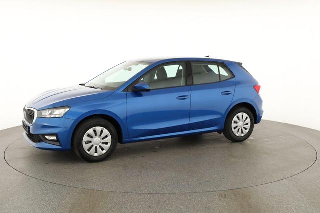 Skoda Fabia Selection 1.0 TSI Selection, Tempomat, Park, Winterpaket, SmartLink, 4 J.-Garantie 