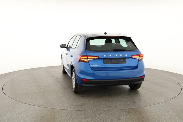 Skoda Fabia Selection 1.0 TSI Selection, Tempomat, Park, Winterpaket, SmartLink, 4 J.-Garantie 
