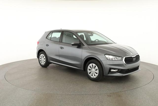 Skoda Fabia Selection 1.0 TSI Selection, Ladeboden, Park, Winterpaket, SmartLink, 4 J.-Garantie 