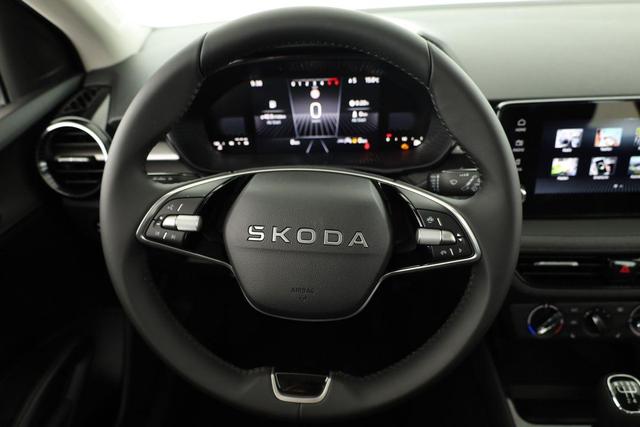 Skoda Fabia Selection 1.0 TSI Selection, Ladeboden, Park, Winterpaket, SmartLink, 4 J.-Garantie 