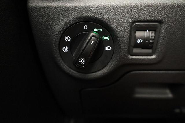 Skoda Fabia Selection 1.0 TSI Selection, Ladeboden, Park, Winterpaket, SmartLink, 4 J.-Garantie 