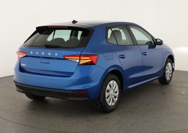 Skoda Fabia Selection 1.0 TSI Selection, Ladeboden, Park, Winterpaket, SmartLink, 4 J.-Garantie 