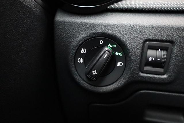 Skoda Fabia Selection 1.0 TSI Selection, Ladeboden, Park, Winterpaket, SmartLink, 4 J.-Garantie 