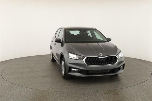 Skoda Fabia Selection 1.0 TSI Selection, Tempomat, Park, Winterpaket, SmartLink, 4 J.-Garantie 