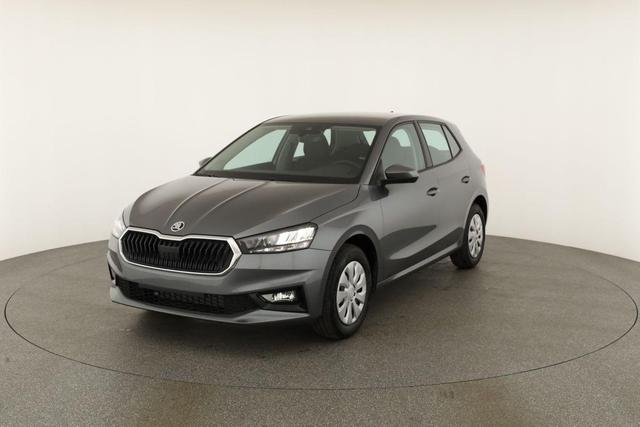Skoda Fabia Selection 1.0 TSI Selection, Tempomat, Park, Winterpaket, SmartLink, 4 J.-Garantie 