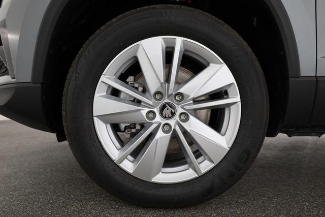 Skoda Karoq Selection 4x4 2.0 TDI DSG Selection, AHK, LED, Kamera, Winter, 4 J.-Garantie 