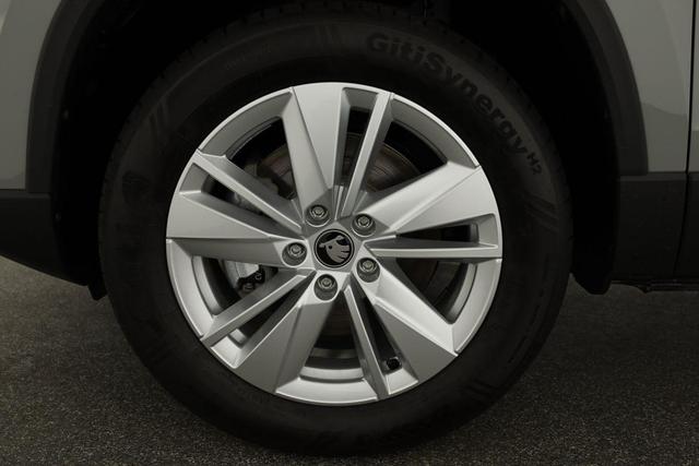 Skoda Karoq Selection 4x4 2.0 TDI DSG Selection, AHK, LED, Kamera, Winter, 4 J.-Garantie 