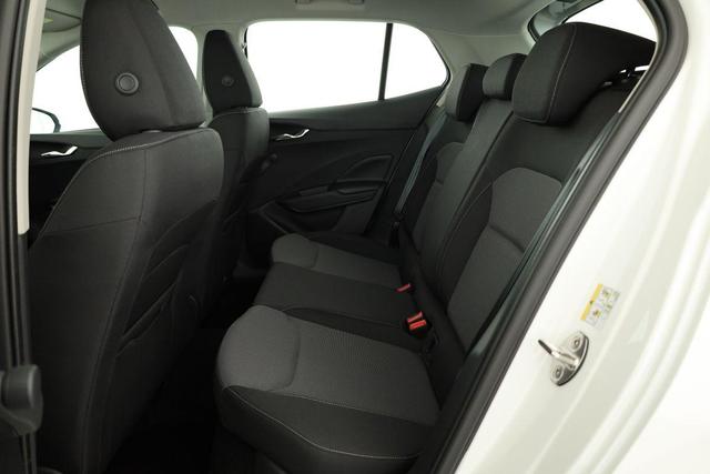 Skoda Fabia Selection 1.0 TSI Selection, Park, Winterpaket, SmartLink, 4 J.-Garantie 