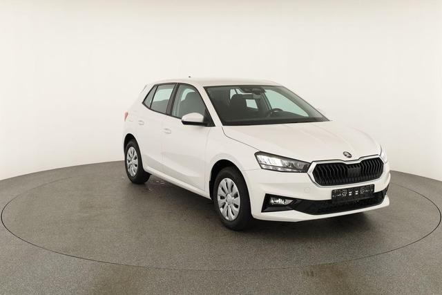 Skoda Fabia Selection 1.0 TSI Selection, Park, Winterpaket, SmartLink, 4 J.-Garantie 