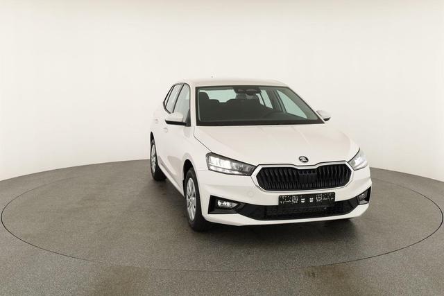 Skoda Fabia Selection 1.0 TSI Selection, Park, Winterpaket, SmartLink, 4 J.-Garantie 