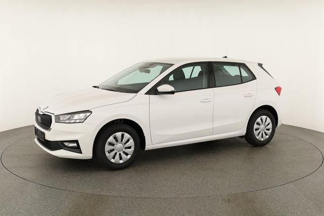Skoda Fabia Selection 1.0 TSI Selection, Park, Winterpaket, SmartLink, 4 J.-Garantie 