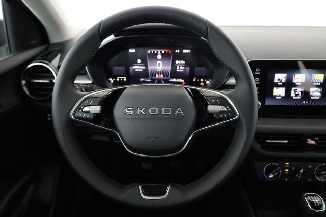 Skoda Fabia Selection 1.0 TSI Selection, Park, Winterpaket, SmartLink, 4 J.-Garantie 