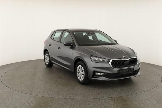 Skoda Fabia Selection 1.0 TSI Selection, Park, Winterpaket, SmartLink, 4 J.-Garantie 