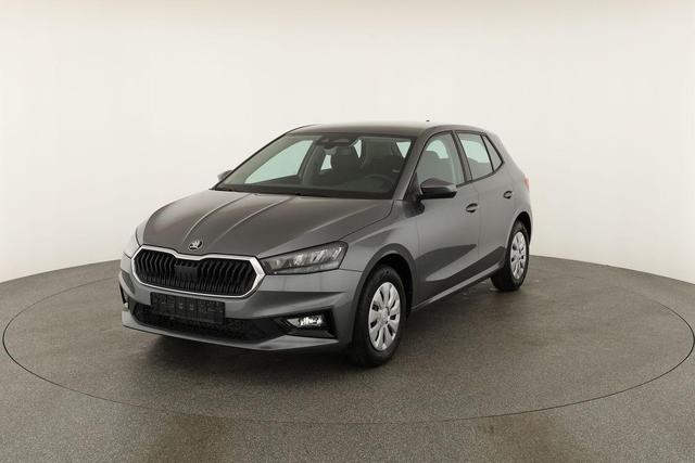 Skoda Fabia Selection 1.0 TSI Selection, Park, Winterpaket, SmartLink, 4 J.-Garantie 