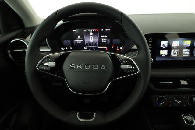 Skoda Fabia Selection 1.0 TSI Selection, Ladeboden, Park, Winterpaket, SmartLink, 4 J.-Garantie 