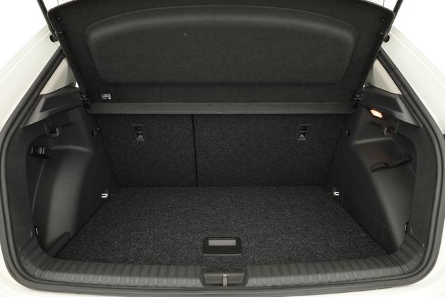 Skoda Fabia Selection 1.0 TSI Selection, Ladeboden, Park, Winterpaket, SmartLink, 4 J.-Garantie 