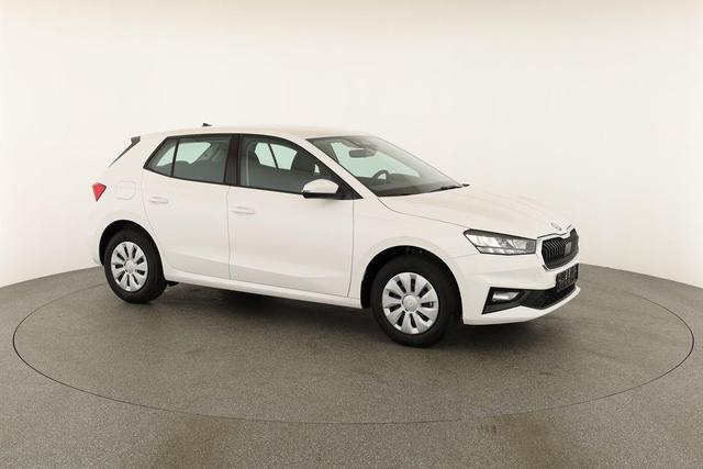 Skoda Fabia Selection 1.0 TSI Selection, Ladeboden, Park, Winterpaket, SmartLink, 4 J.-Garantie 