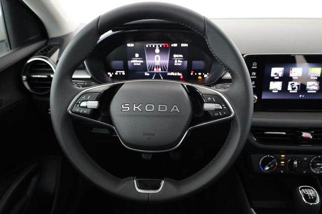 Skoda Fabia Selection 1.0 TSI Selection, Tempomat, Park, Winterpaket, SmartLink, 4 J.-Garantie 