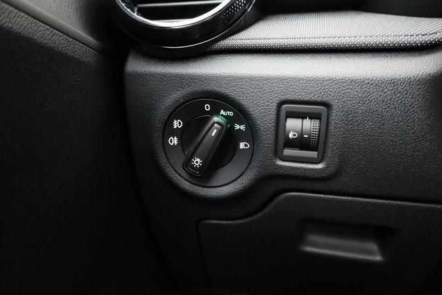 Skoda Fabia Selection 1.0 TSI Selection, Tempomat, Park, Winterpaket, SmartLink, 4 J.-Garantie 