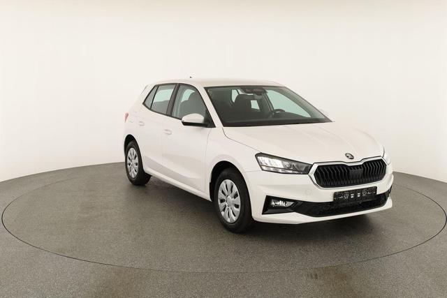 Skoda Fabia Selection 1.0 TSI Selection, Tempomat, Park, Winterpaket, SmartLink, 4 J.-Garantie 
