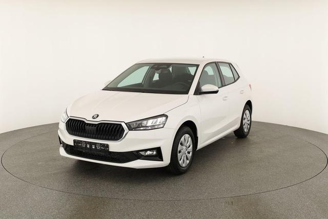 Skoda Fabia Selection 1.0 TSI Selection, Tempomat, Park, Winterpaket, SmartLink, 4 J.-Garantie 