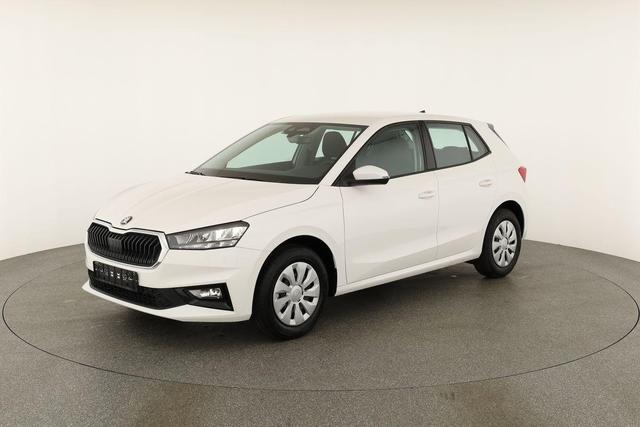 Skoda Fabia Selection 1.0 TSI Selection, Tempomat, Park, Winterpaket, SmartLink, 4 J.-Garantie 