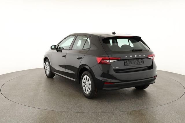 Skoda Fabia Selection 1.0 TSI Selection, Park, Winterpaket, SmartLink, 4 J.-Garantie 