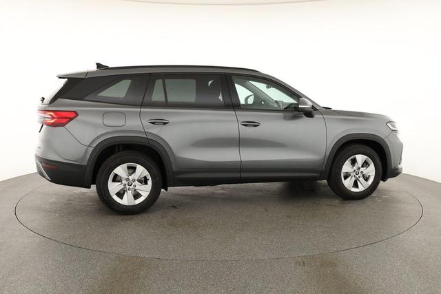 Skoda Kodiaq 2.0 TDI 110 kW Selection DSG Selection, AHK, Navi, Kamera, Side, Winter 