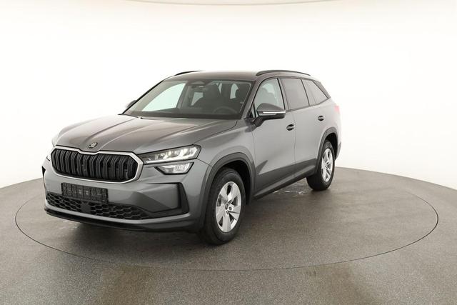 Skoda Kodiaq 2.0 TDI 110 kW Selection DSG Selection, AHK, Navi, Kamera, Side, Winter 
