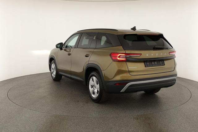 Skoda Kodiaq 2.0 TDI 110 kW Selection DSG Selection, AHK, Navi, Kamera, Side, Winter 