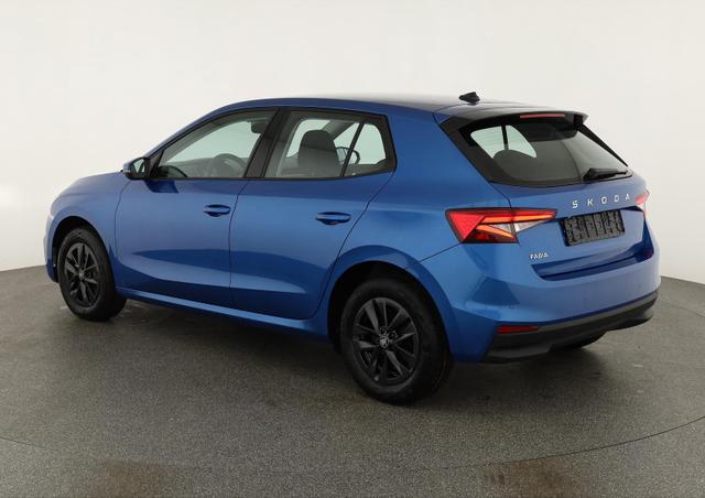 Skoda Fabia Selection 1.0 TSI Selection, LED, Kamera, Winter, 5 J.-Garantie 