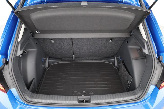 Skoda Fabia Selection 1.0 TSI Selection, LED, Kamera, Winter, 5 J.-Garantie 
