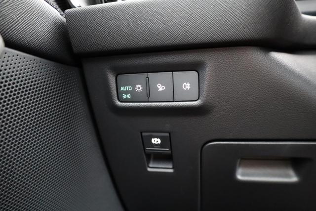 Skoda Kodiaq 2.0 TDI 110 kW Selection DSG Selection, 7-Sitzer, AHK, Navi, Side, Kamera, Winter, 4 J.-Garantie 