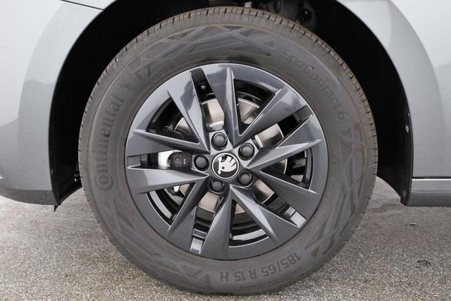 Skoda Fabia Selection 1.0 TSI Selection, LED, Kamera, Winter, 5 J.-Garantie 