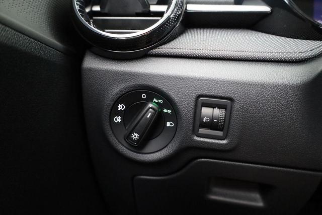Skoda Fabia Selection 1.0 TSI Selection, Tempomat, Ladeboden, Park, Winterpaket, SmartLink, 4-J Garantie 
