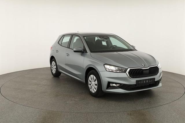 Skoda Fabia Selection 1.0 TSI Selection, Tempomat, Ladeboden, Park, Winterpaket, SmartLink, 4-J Garantie 