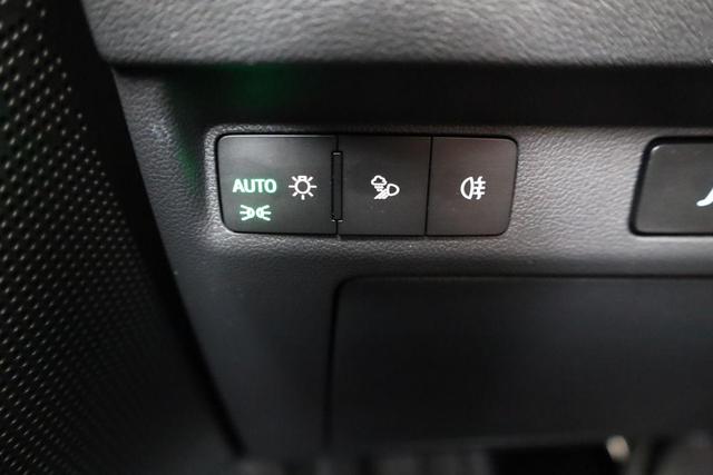 Skoda Enyaq RS RS, Leder, Maxx, AHK, Pano, Canton, HUD, AreaView, 20-Zoll, FS-beheizbar 