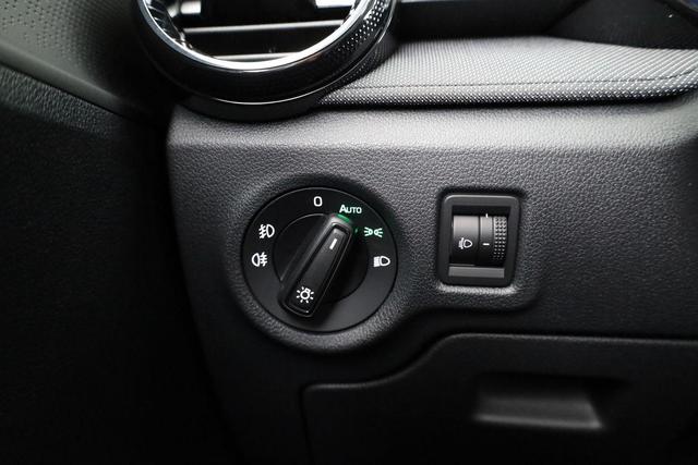 Skoda Fabia Selection 1.0 TSI Selection, Park, SmartLink, 4 J.-Garantie 