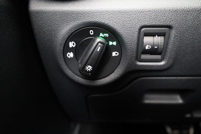 Skoda Fabia Monte Carlo 1.0 TSI DSG Carlo, LED, Kamera, Tempomat, 16-Zoll, sofort 