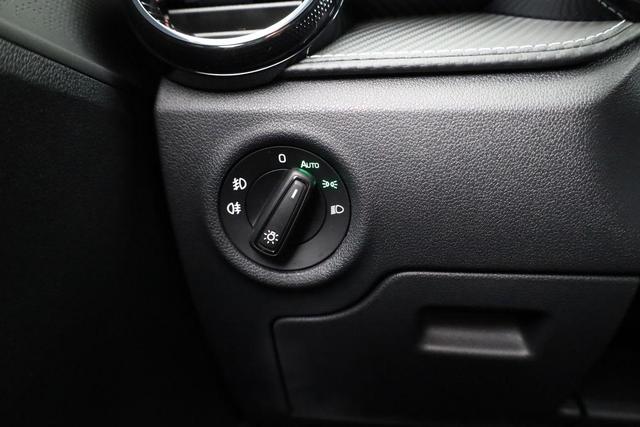 Skoda Fabia Monte Carlo 1.5 TSI DSG Carlo, Ladeboden, LED, Kamera, App-Connect, 17-Zoll 