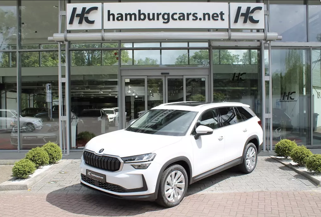 Skoda Kodiaq Selection iV 1.5TSI PHEV DSG 13"Navi 19"Alu AssistenzP 