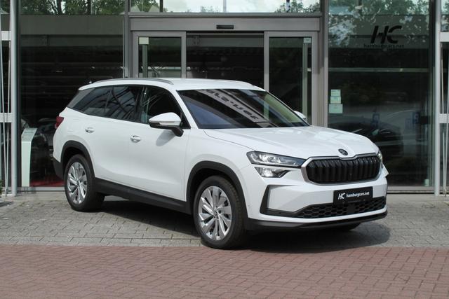 Skoda Kodiaq Selection 2.0TDI AHK 13"Navi 19"Alu Assistenz-Convenience-WinterP 