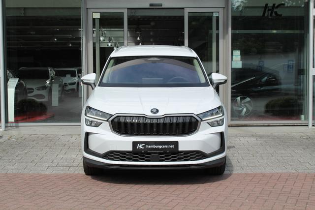 Skoda Kodiaq Selection 2.0TDI AHK 13"Navi 19"Alu Assistenz-Convenience-WinterP 