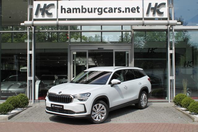 Skoda Kodiaq Selection 2.0TDI AHK 13"Navi 19"Alu Assistenz-Convenience-WinterP 