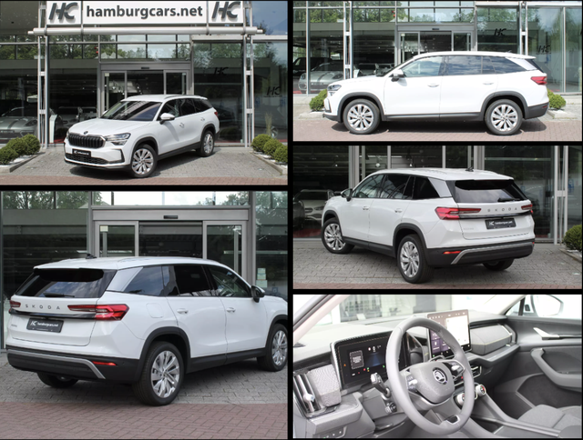 Skoda Kodiaq - Selection 1.5 eTSI AHK 13"Navi 19"Alu Assistenz-Convenience-WinterP