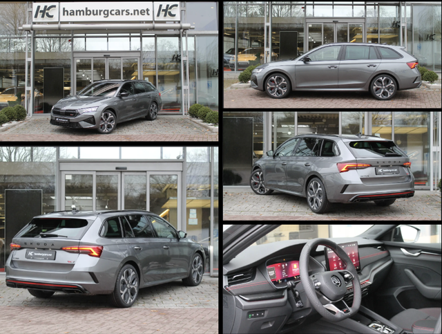 Skoda Octavia Combi - RS 2.0 TSI DSG 19" AHK DCC CANTON WinterPaket Navi AssistenzP