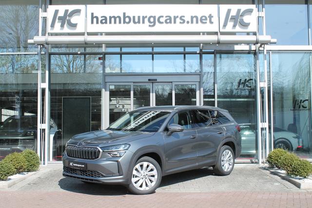 Skoda Kodiaq Selection 2.0TDI AHK 13"Navi 19"Alu Assistenz-Convenience-WinterP 