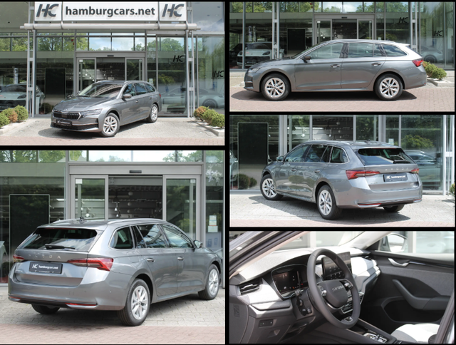 Skoda Octavia Combi - Selection+ 2.0TDI DSG AHK Winter&AssistenzPaket Cam el.Heckkl Kessy 3Z-Clim